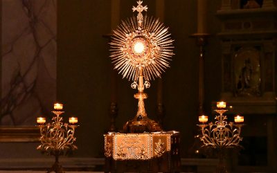 Christ Awaits You in Adoration—Will You Come?